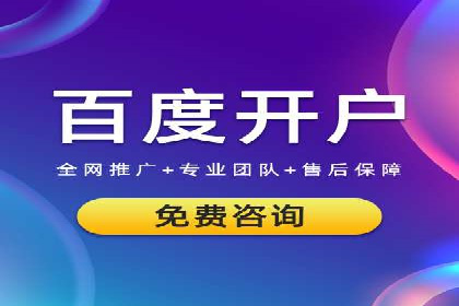搜索引擎营销（SEM）成功运营的五大案例